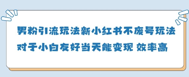 男粉引流玩法(新)，玩法友好做的好当天就能变现-随风资源网
