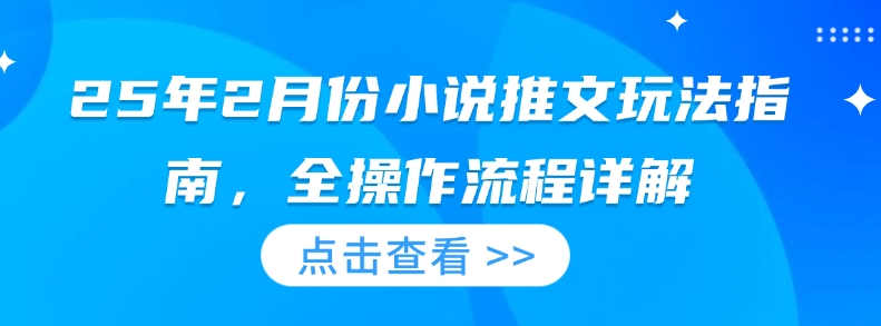 25年2月份小说推文玩法指南，全操作流程详解-随风资源网
