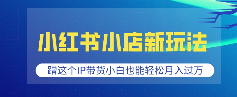 小红书小店新玩法，蹭这个IP带货，小白也能轻松月入过W【揭秘】-随风资源网