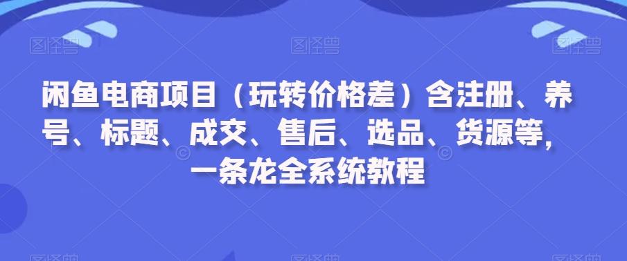 闲鱼电商项目(玩转价格差)含注册、养号、标题、成交、售后、选品、货源等，一条龙全系统教程-随风资源网