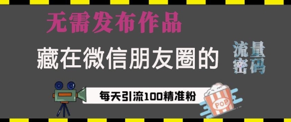 藏在微信朋友圈的流量密码，无需发布作品，单日引流100+精准创业粉【揭秘】-随风资源网