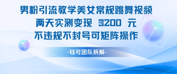 男粉引流教学美女常规跳舞视频两天实测变现1k+，不违规不封号可矩阵操作-随风资源网