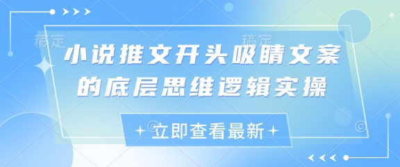 小说推文开头吸睛文案的底层思维逻辑实操-随风资源网