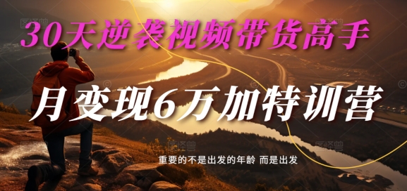 30天逆袭视频带货高手，单月变现6万加特训营-麦子甜-随风资源网
