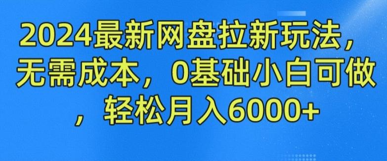 2024最新网盘拉新玩法，无需成本，0基础小白可做，轻松月入6000+【揭秘】-随风资源网