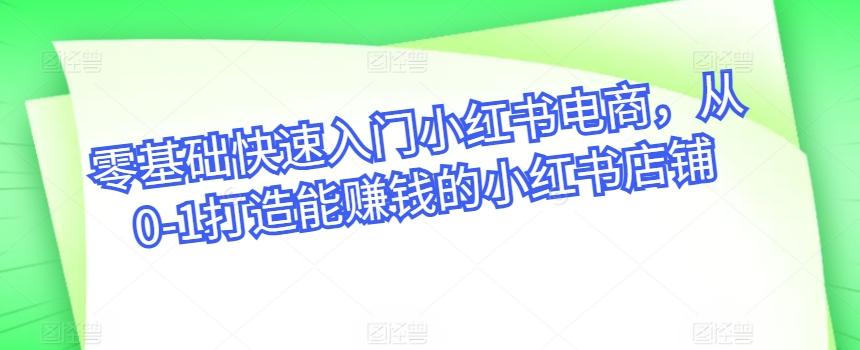 零基础快速入门小红书电商，从0-1打造能赚钱的小红书店铺-随风资源网