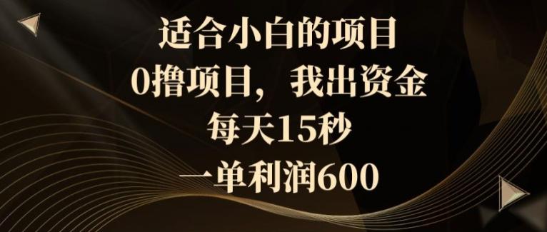 适合小白的项目，0撸项目，我出资金，每天15秒，一单利润600-随风资源网