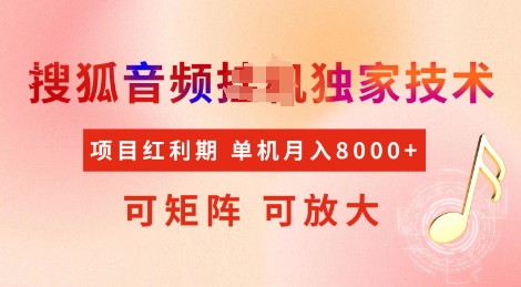 全网首发搜狐音频挂JI独家技术，项目红利期，可矩阵可放大，稳定月入8k【揭秘】-随风资源网