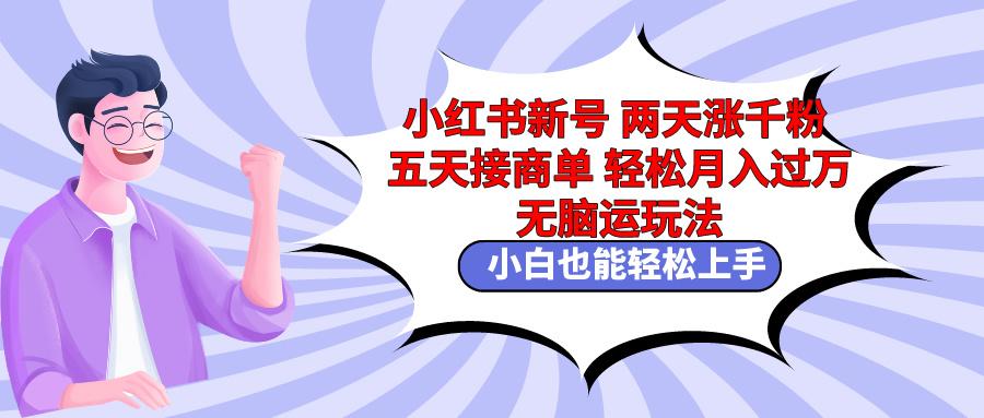 小红书新号两天涨千粉五天接商单轻松月入过万 无脑搬运玩法 小白也能轻…-随风资源网