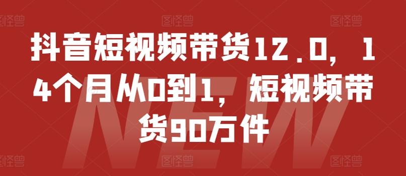 抖音短视频带货12.0，14个月从0到1，短视频带货90万件-随风资源网