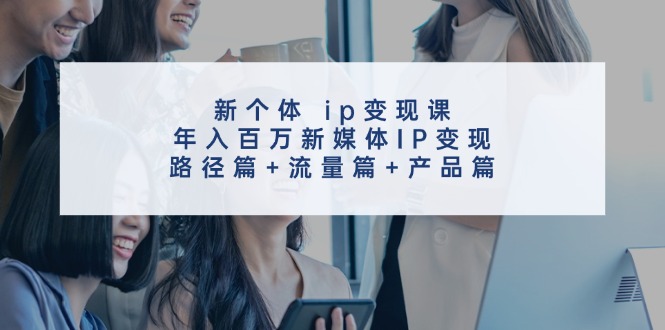 新个体ip变现课，年入百万新媒体IP变现，路径篇+流量篇+产品篇-随风资源网