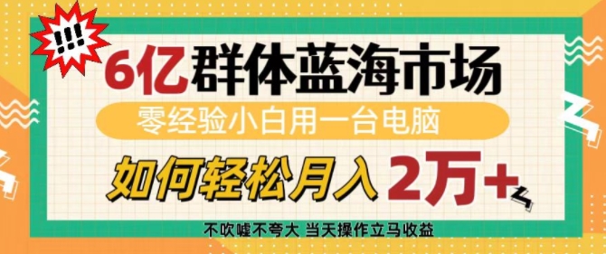 6亿群体蓝海市场，零经验小白用一台电脑，如何轻松月入过w【揭秘】-随风资源网