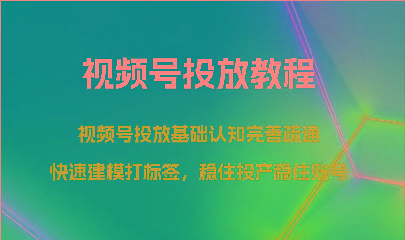 视频号投放教程-视频号投放基础认知完善疏通，快速建模打标签，稳住投产稳住账号-随风资源网