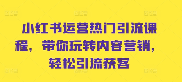 小红书运营热门引流课程，带你玩转内容营销，轻松引流获客-随风资源网
