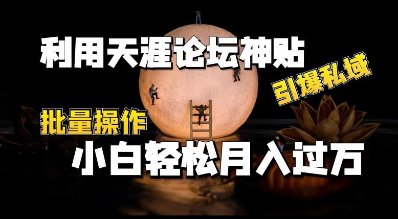 利用天涯论坛神贴，引爆私域，批量操作，小白轻松月入过w【揭秘】-随风资源网