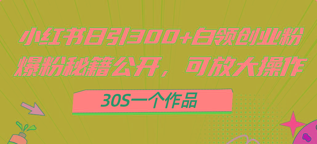 小红书日引300+高质白领创业粉，可放大操作，爆粉秘籍！30s一个作品-随风资源网