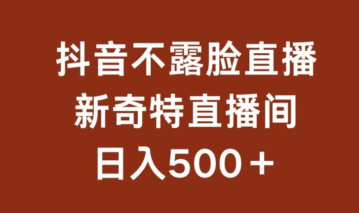 不露脸挂机直播，新奇特直播间，日入500+【揭秘】-随风资源网