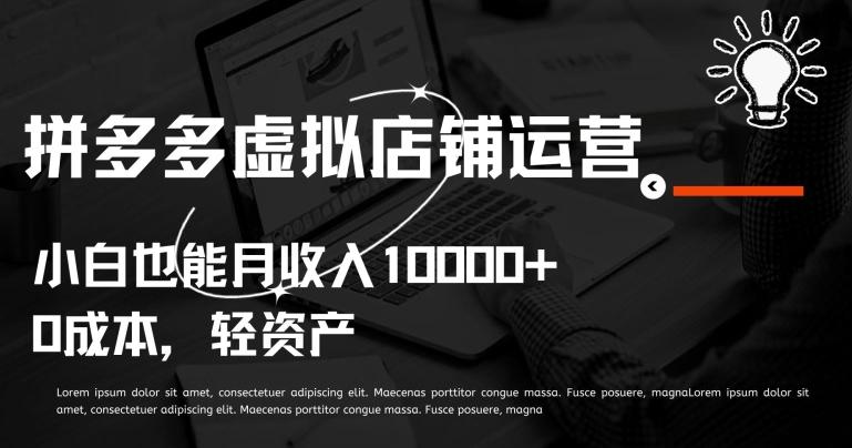 拼多多虚拟店铺运营小白也能月收入10000+【揭秘】-随风资源网