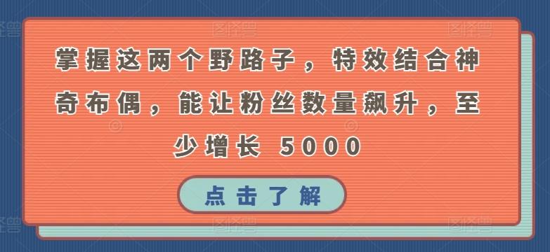 掌握这两个野路子，特效结合神奇布偶，能让粉丝数量飙升，至少增长 5000【揭秘】-随风资源网