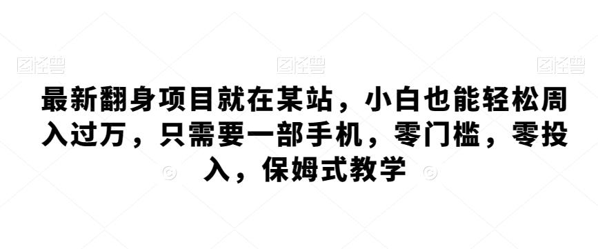 最新翻身项目就在某站，小白也能轻松周入过万，只需要一部手机，零门槛，零投入，保姆式教学-随风资源网