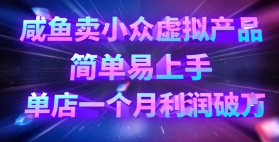 咸鱼卖小众虚拟产品，简单易上手，单店一个月利润破W-随风资源网
