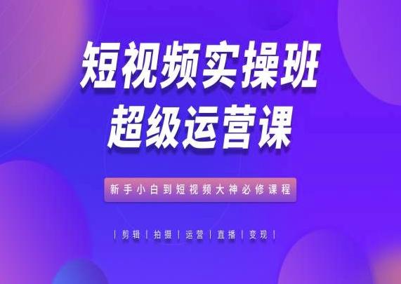 短视频实操班超级运营课，新手小白到短视频大神必修课程-随风资源网