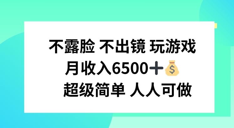 不露脸 不出境 玩游戏，月入6500 超级简单 人人可做【揭秘】-随风资源网