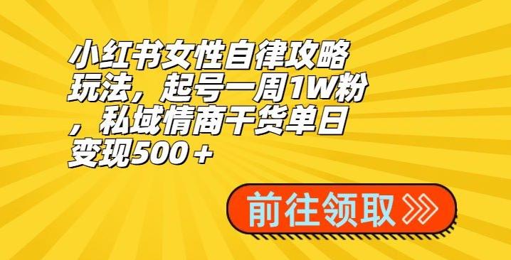 小红书女性自律攻略玩法，起号一周1W粉，私域情商干货单日变现500＋-随风资源网