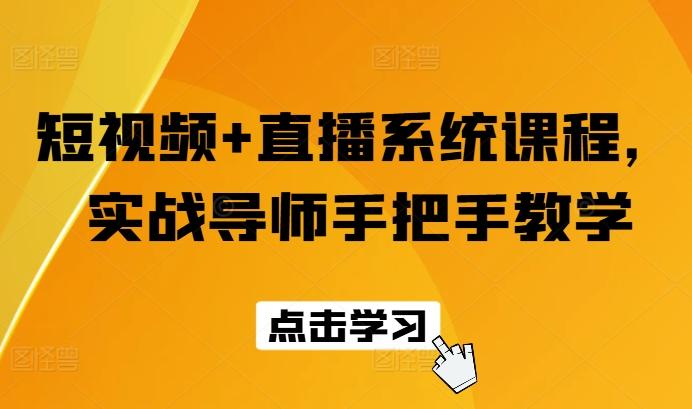 短视频+直播系统课程，实战导师手把手教学-随风资源网
