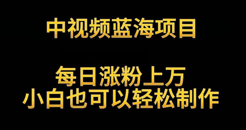 中视频蓝海项目，解读英雄人物生平，每日涨粉上万，小白也可以轻松制作，月入过万不是梦【揭秘】-随风资源网