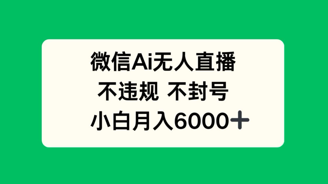 微信AI无人直播，不违规 不封号 ，小白月入6000+-随风资源网