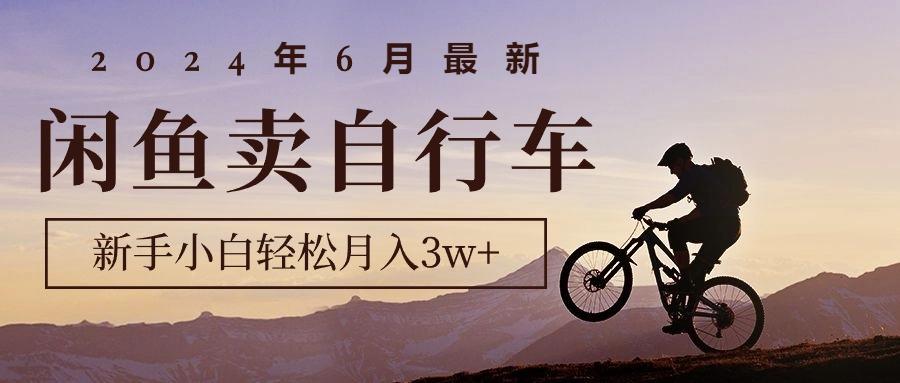 2024年6月最新闲鱼卖自行车，新手小白轻松月入3w+项目-随风资源网