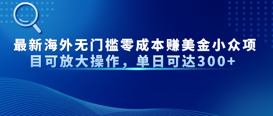 最新海外无门槛零成本赚美金小众项目可放大操作，单日可达300+-随风资源网