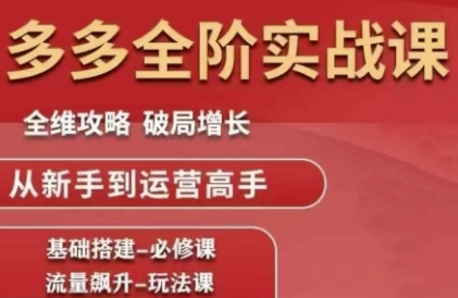 拼多多全阶实战课程，全维攻略，破局增长，从新手到运营高手-随风资源网