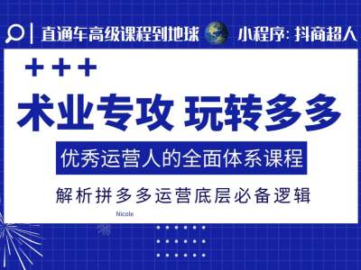术业专攻玩转多多，优秀运营人的全面体系课程，解析拼多多运营底层必备逻辑-随风资源网