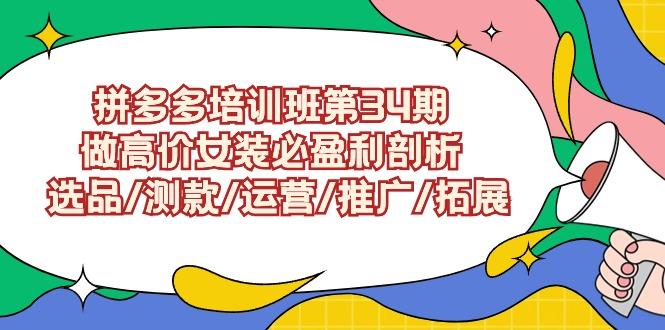 (9333期)拼多多培训班第34期：做高价女装必盈利剖析  选品/测款/运营/推广/拓展-随风资源网