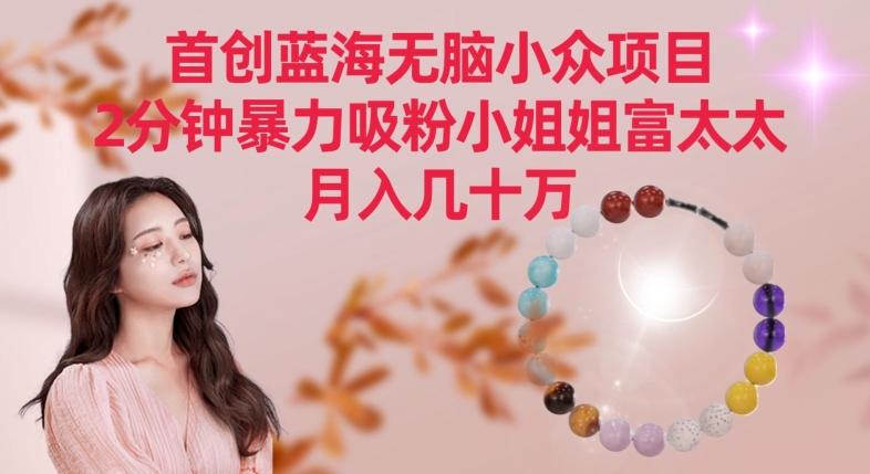 首创蓝海无脑小众项目，2分钟暴力吸粉小姐姐富太太，月入几十万【揭秘】-随风资源网