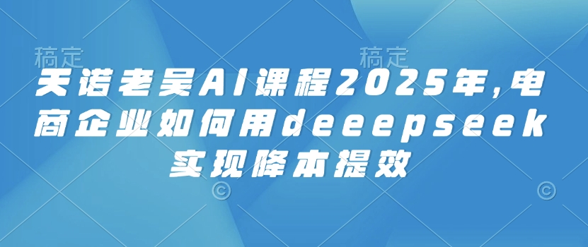 天诺老吴AI课程2025年，电商企业如何用deeepseek实现降本提效-随风资源网