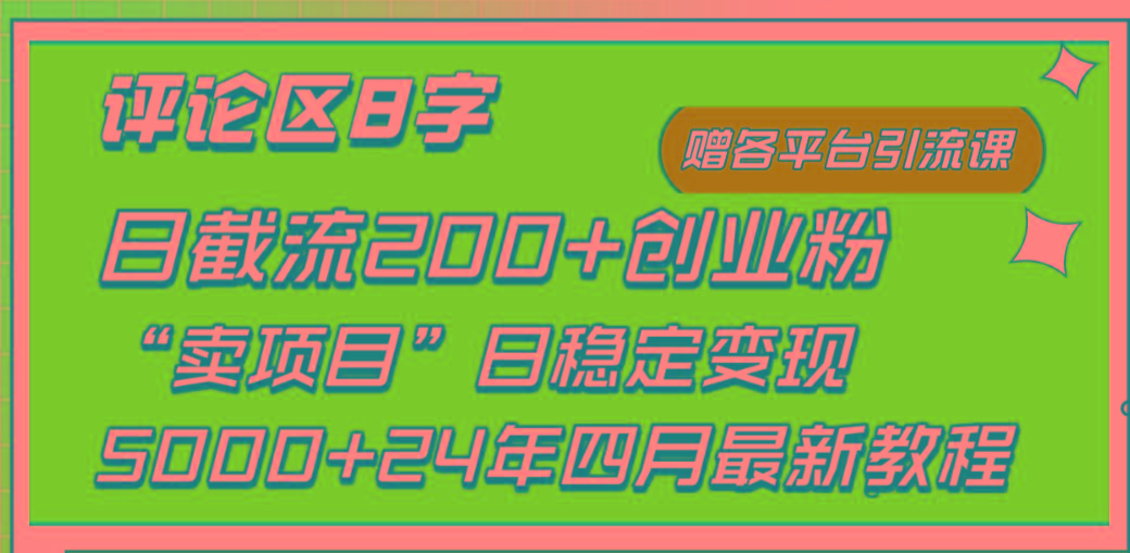 (9851期)评论区8字日载流200+创业粉  日稳定变现5000+24年四月最新教程！-随风资源网