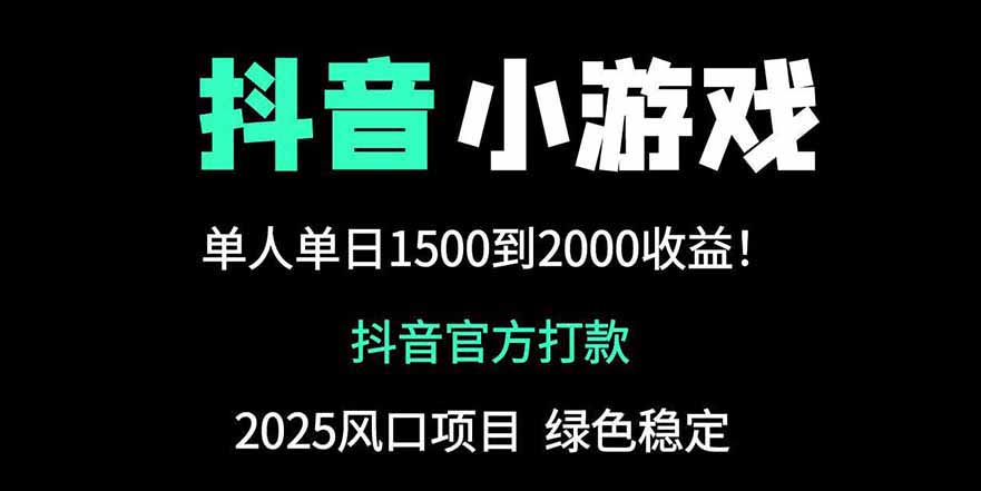 抖音官方小游戏2025全网最新玩法，暴利赚钱项目，单机日入2000+-随风资源网