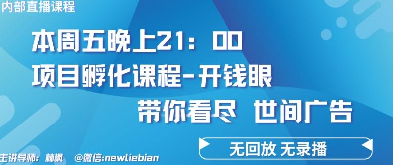 4.26日内部回放课程《项目孵化-开钱眼》赚钱的底层逻辑【揭秘】-随风资源网