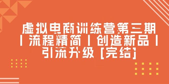 虚拟电商训练营第三期丨流程精简丨创造新品丨引流升级 [完结]-随风资源网