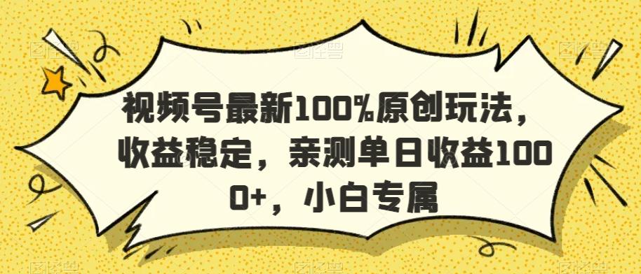 视频号最新100%原创玩法，收益稳定，亲测单日收益1000+，小白专属【揭秘】-随风资源网