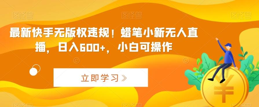 最新快手无版权违规！蜡笔小新无人直播，日入600+，小白可操作【揭秘】-随风资源网