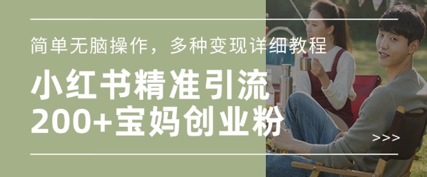 小红书混剪日引200+宝妈创业粉，简单无脑操作，多种变现详细教程-随风资源网