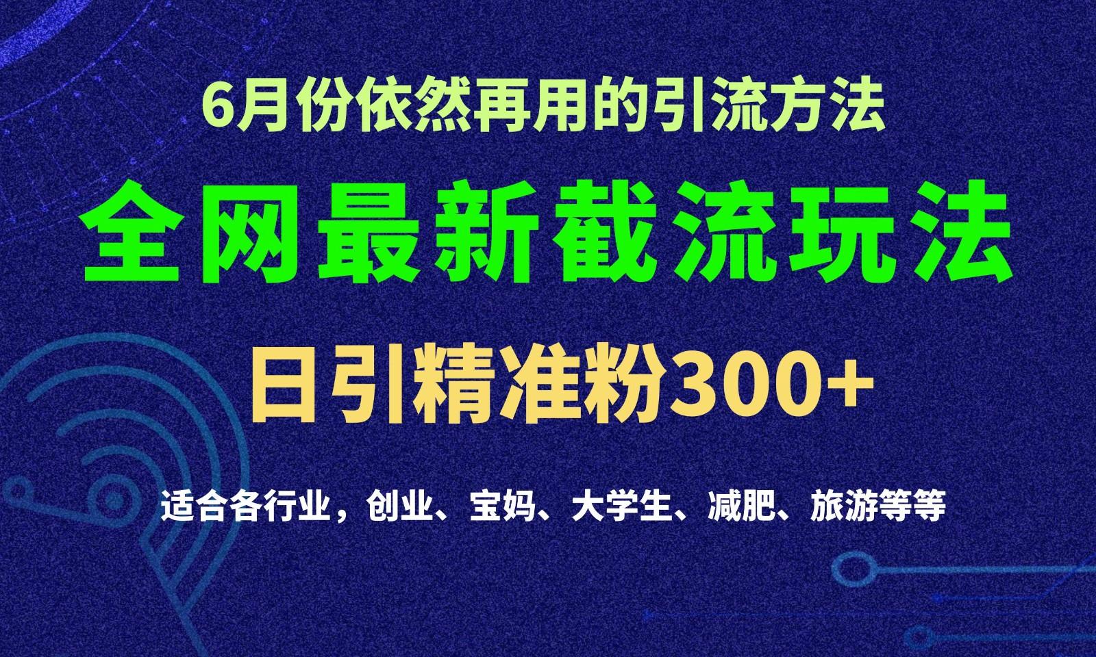 2024全网最新截留玩法，每日引流突破300+-随风资源网