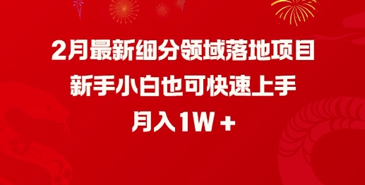 2月最新细分领域落地项目，新手小白也可快速上手，月入1W-随风资源网