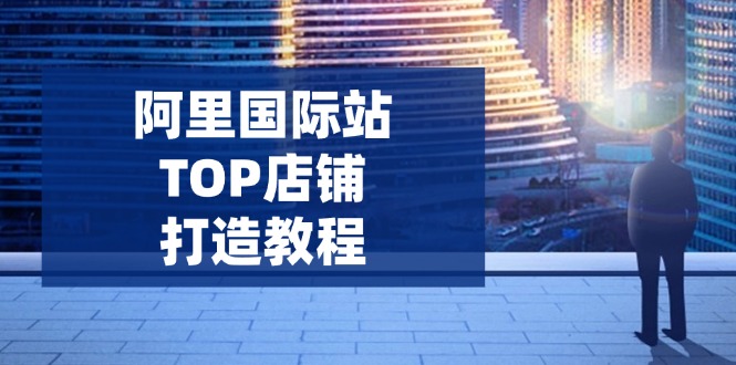 阿里国际站TOP店铺打造教程：涵盖平台到高阶，解决运营难题，提升询盘-随风资源网
