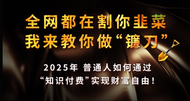 全网都在割你韭菜，我来教你做镰刀，2025年普通人如何通过 知识付费 实现财F自由【揭秘】-随风资源网