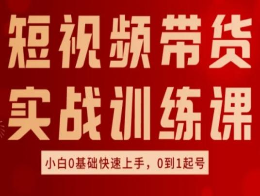 短视频带货实战训练课，好物分享实操，小白0基础快速上手，0到1起号-随风资源网
